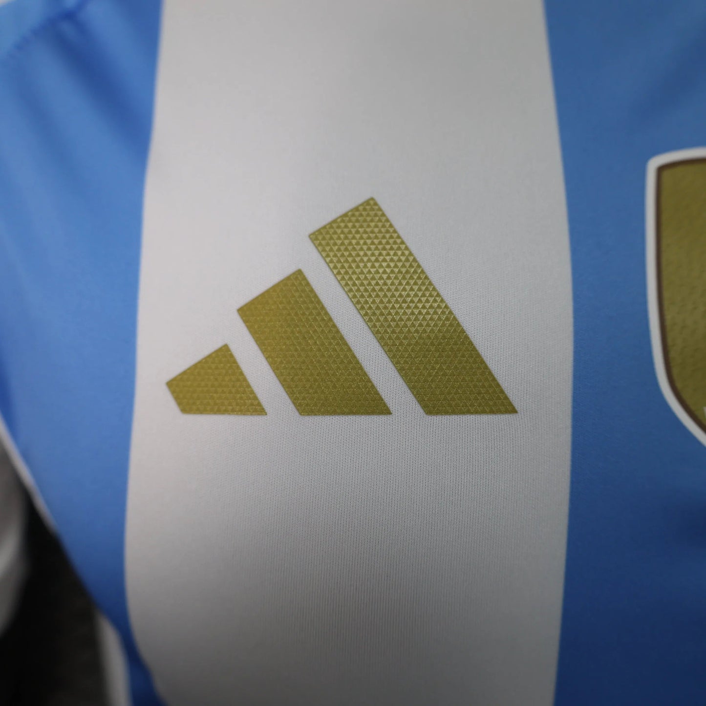 ARGENTINA HOME 2024/2025 JERSEY