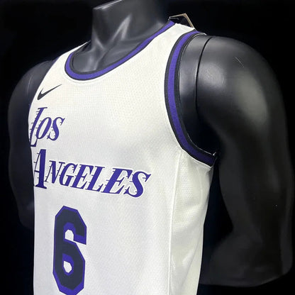 Los Angeles Lakers JAMES 6 NBA Basket Jersey