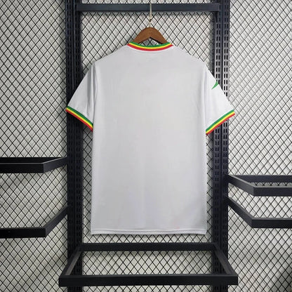 Mali 2023/24 Secondary Shirt