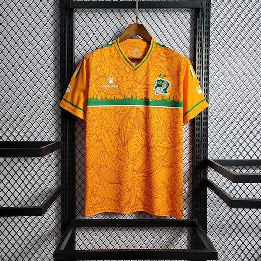 Ivory Coast Third Shirt 2022/23