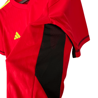 Argentina Retro 2023 Goalkeeper Red - JERSEY4ALL