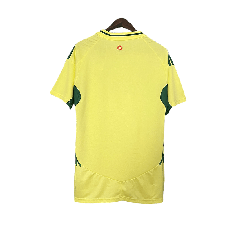 Wales 2024 Away - JERSEYS4ALL