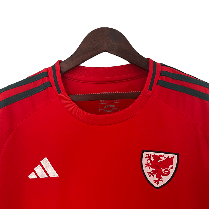 Wales 2024 Home - JERSEYS4ALL